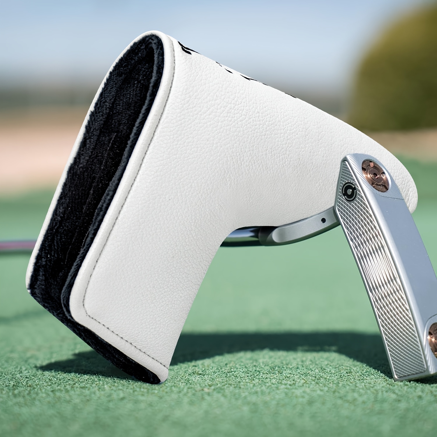 Dinosaur & Crossbones Golf Put - Golf Equipment Deals recension och pris